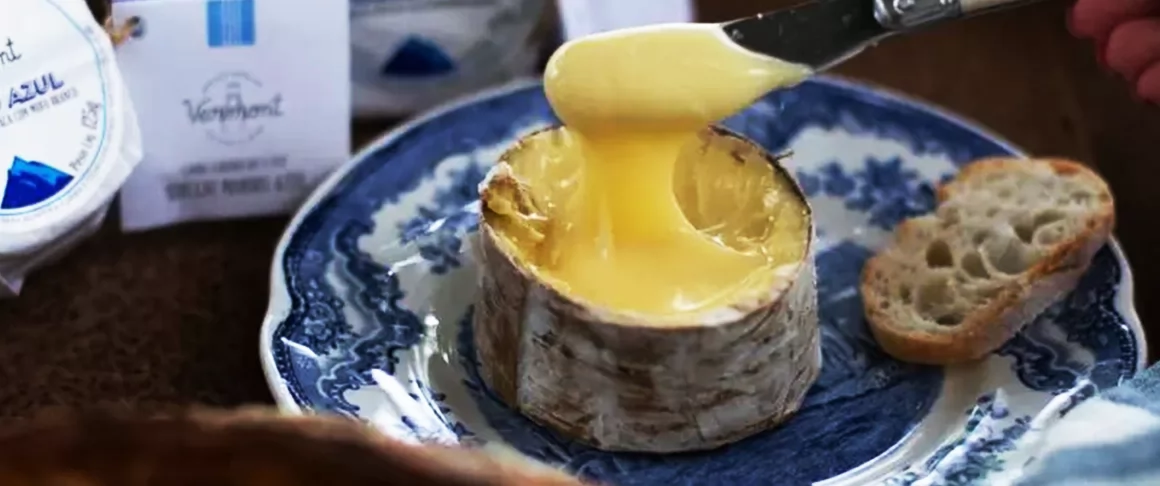 Fábrica do premiado queijo Morro Azul, da Queijos Pomerode, possui projeto NEOplan