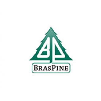 Braspine