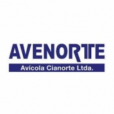 Avenorte