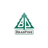 Braspine