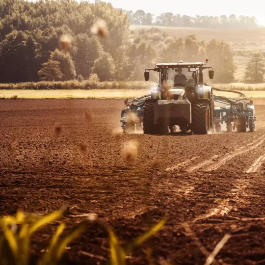 Agroindústria | Grãos