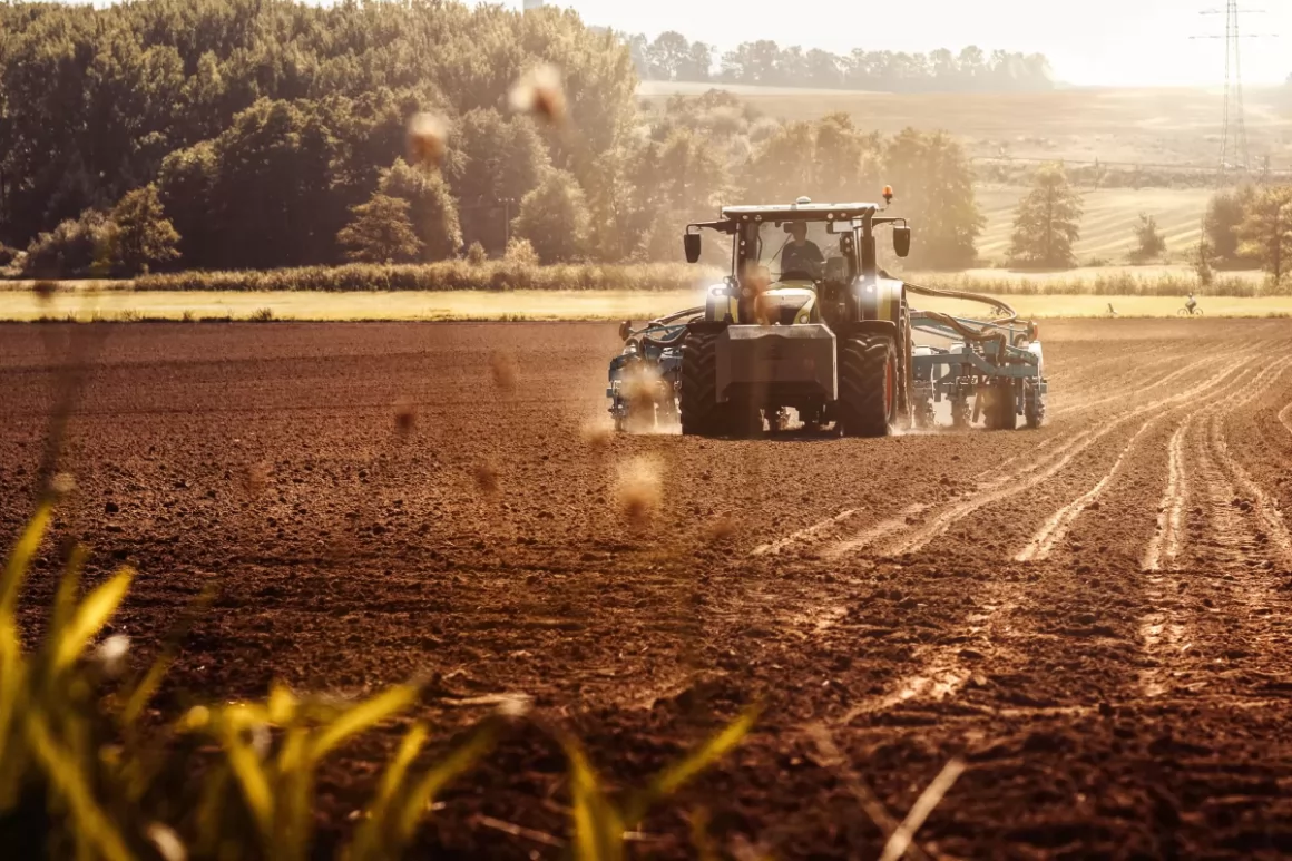 Agroindústria | Grãos